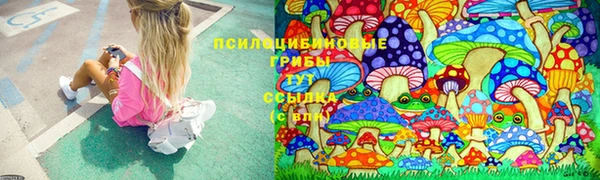 эйфоретик Беломорск