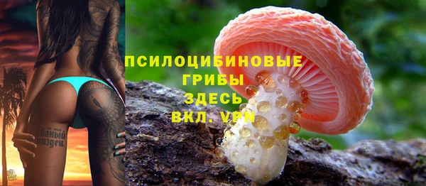 эйфоретик Беломорск