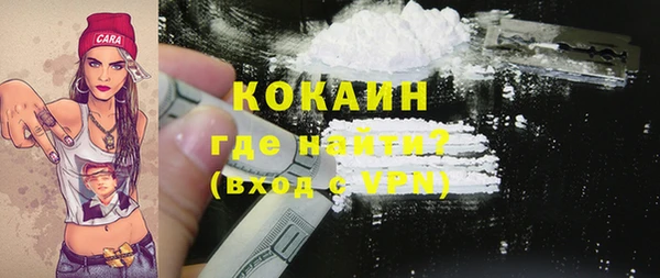прущие грибы Балахна