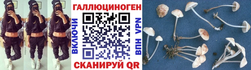 Псилоцибиновые грибы прущие грибы  Кстово 